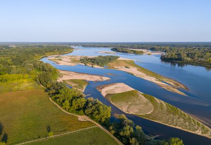 Perełka mazowsza, siedlisko k/czerwińska nad wisłą