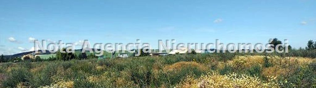 Oferta skierowana dla inwestora