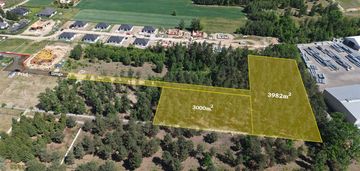 Działka leśna 3000 m² – sochaczew, wypalenisko