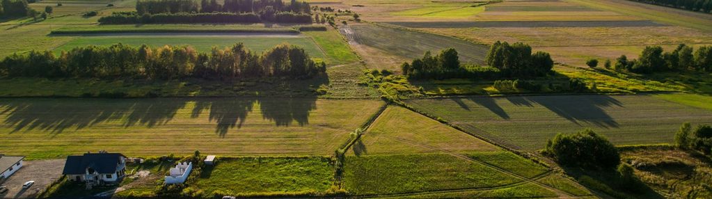 Działka budowlana z warunkami zabudowy - pilawa