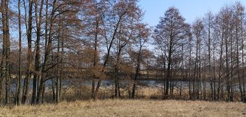 Budowlana, mpzp, bezpośredni dostęp do jeziora