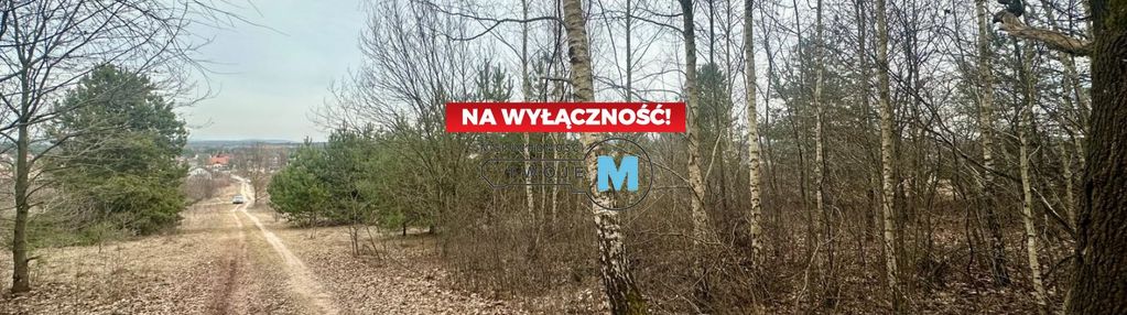 Działka budowlana w atrakcyjnej lokalizacji.