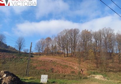 Malownicza działka w pobliżu szczawna zdroju