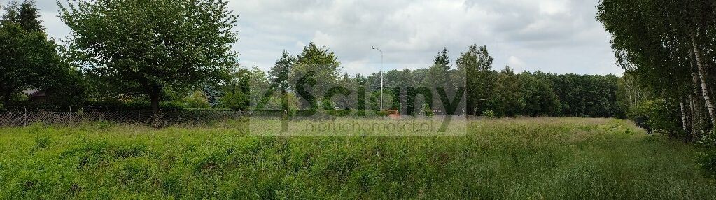 Ciche miejsce w strzeniówce