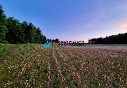 Działka z potencjałem nad brzegiem jeziora cheb