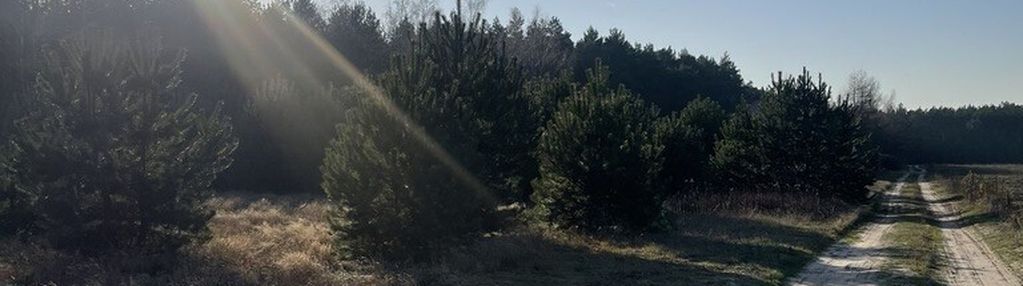 Idealne miejsce na dom,6241 m² blisko lasu i rzeki