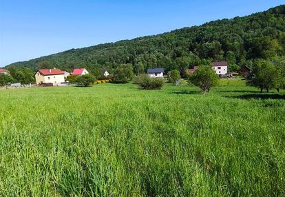 Widokowa działka budowlana kamesznica