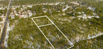 Wesola groszówka- inwestycja premium