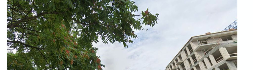 Wyjątkowe z ogrodem| super cena| lokalizacja