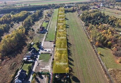 Zadrzewione działki – naturalnie piękne miejsce