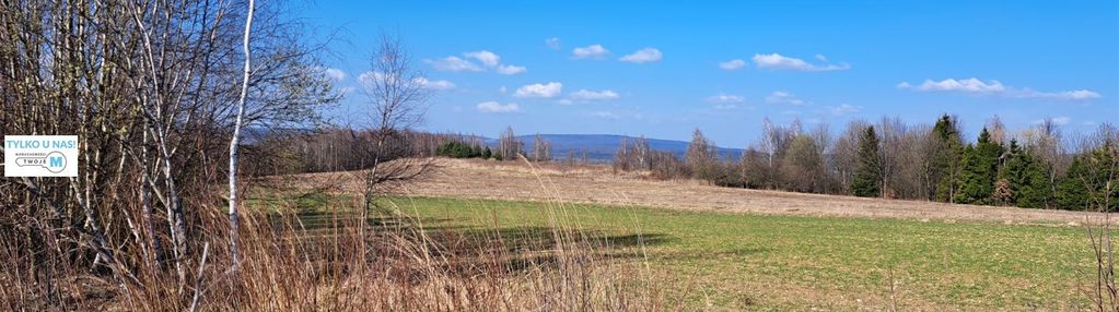 Widokowa działka - stadnina koni, agroturystyka!
