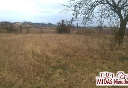 Dzialka 6417m2 w brześciu kuj.