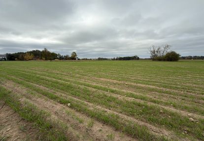 Działki budowlane 5 km od płońska