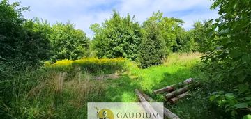 W zaciszu drzew -działka z wz | warmia | lubianka