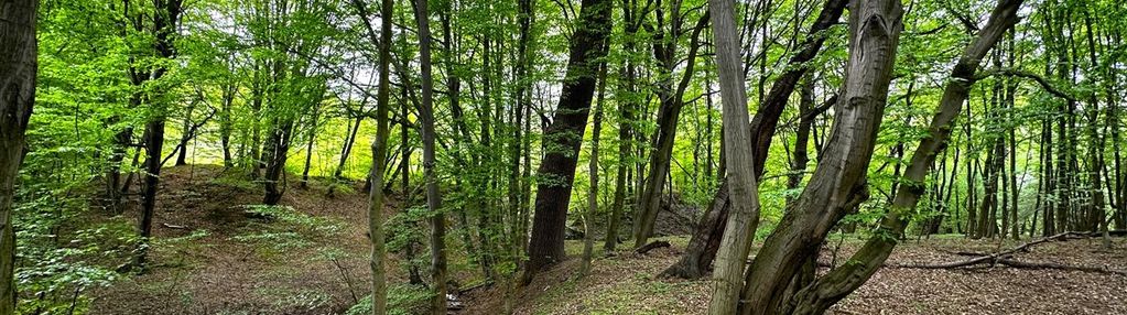 Działka budowlana przy lesie oraz strumyku