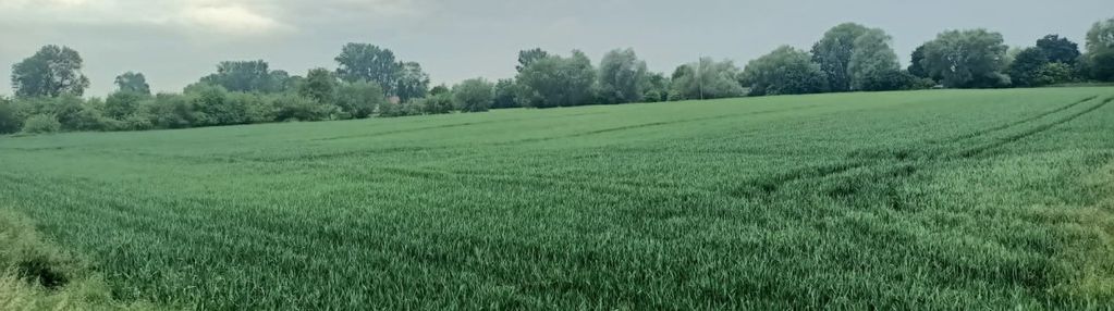 Działka na sprzedaż! piękna okolica !