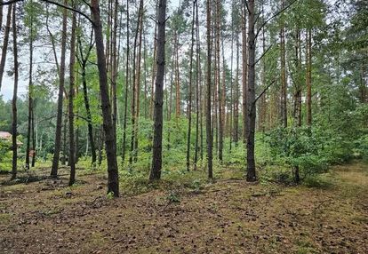 Leśna działka z warunkami zabudowy!!! blisko łodzi