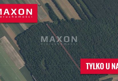 Miedzna, orzeszówka działki leśne 0,8 ha