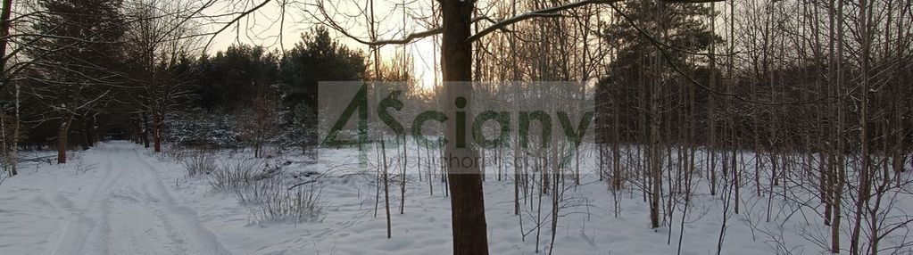 Sulejówek, piękna dzialka z drzewami