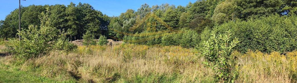 Trzy działki po 1500 w zboiskach z mpzp