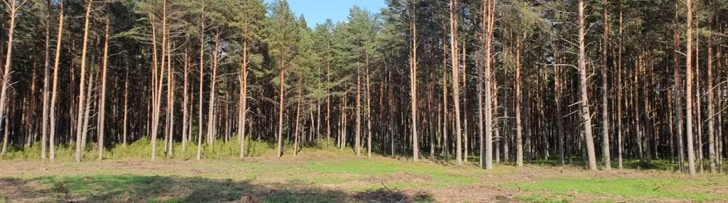 Działka na sprzedaż 53m2