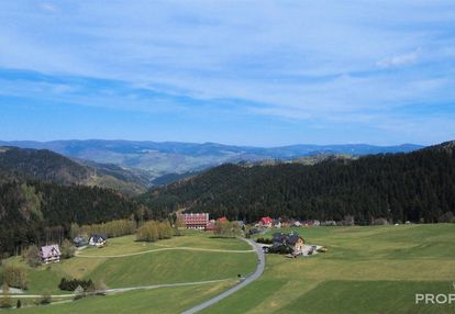 Piwniczna sucha dolina dom drewniany na 2821 m2