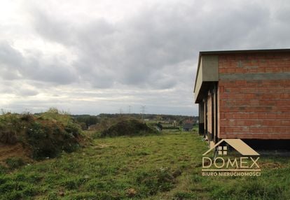 Piękny widok - pstrągi w zasięgu ręki