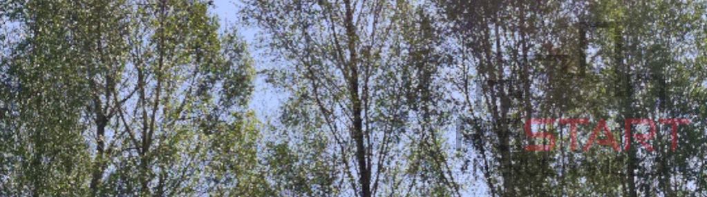Działka rod siekierki 630 m2 - 95000 pln