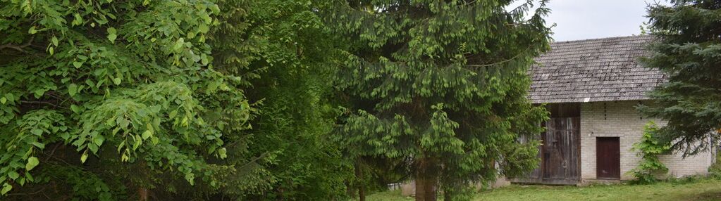 Działka pod zabudowę 13a - hucisko jawornickie