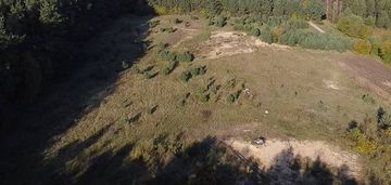 Bieszkowice, las, jezioro