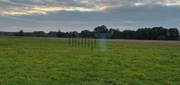 Działka brzoza ok 2,2 ha