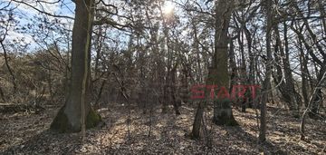 Wyjątkowa, leśna, media.