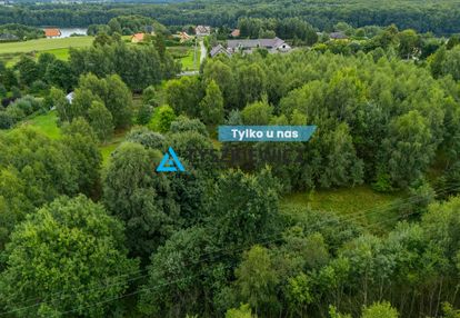 Własny kawałek kaszub – 4,55 ha z lasem!