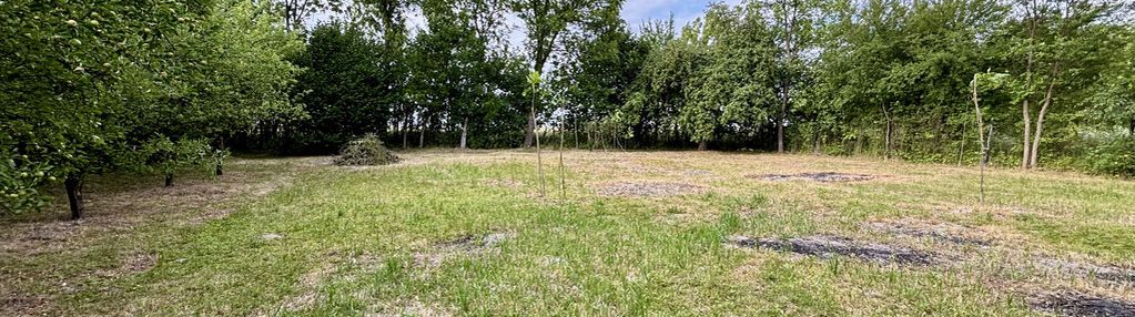 Działka 2000 m² z domem i garażami – drużykowa