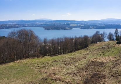 Widok na jezioro i sąsiedztwo lasu