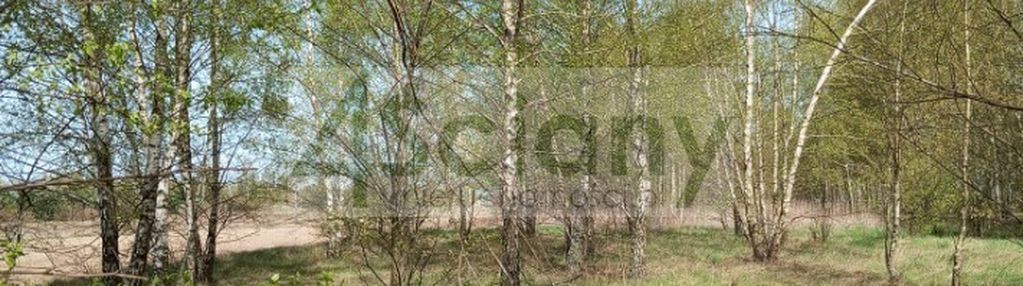 Teren inwestycyjny – świetna oferta w jasienicy