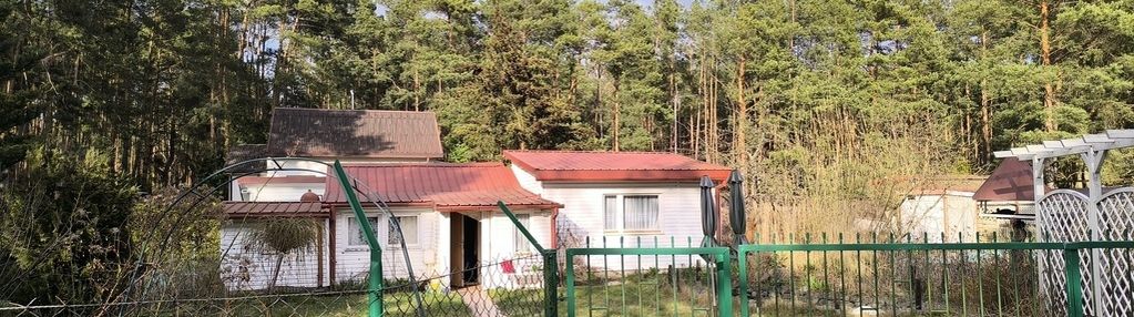 Cicha działka z domkiem w otulinie lasu koło rzeki
