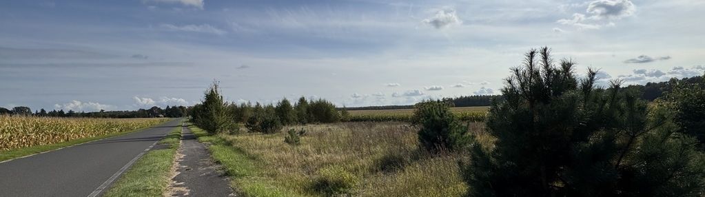 Na sprzedaż dwie działki w sosnowie, powiat rypiński