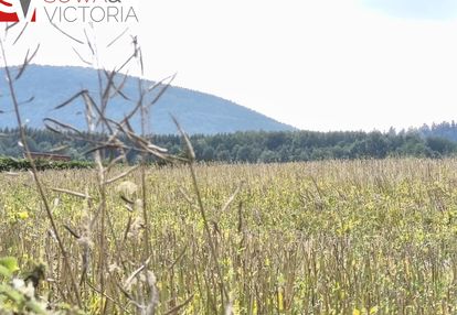 Ostatnia działka, koniec drogi, warunki zabudowy