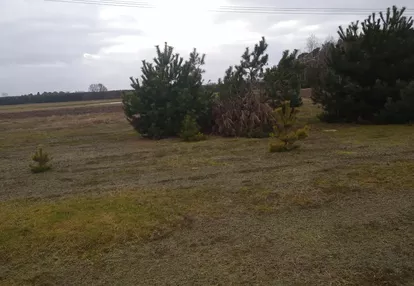 Działka na sprzedaż 3000m2