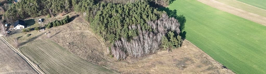 Działka budowlana wz las jeziora pniewy psarce