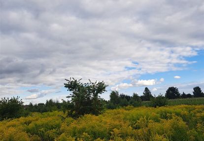 Działka na sprzedaż w ługach ujskich, gmina ujście