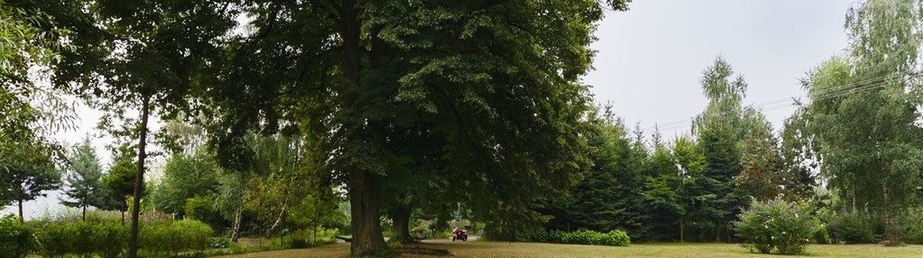 Wieliczka-jankówka -działka ze 100 letnimi lipami