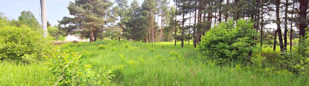 Działka budowlana w konopiskach