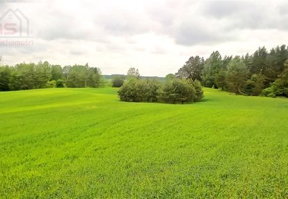 Działki na mazurach, w pobliżu jeziora