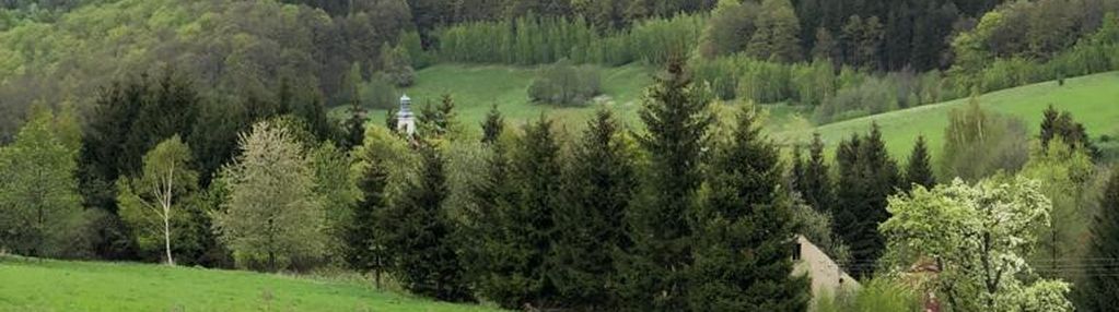 Działka/zagórze śląskie/okolice