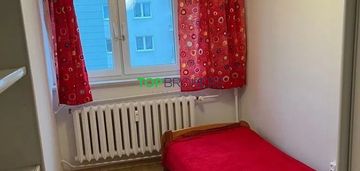 Komfortowe 3 pokoje z oddzielną kuchnią