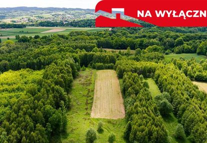 Działka rolna - 4677 m² skrzyszów