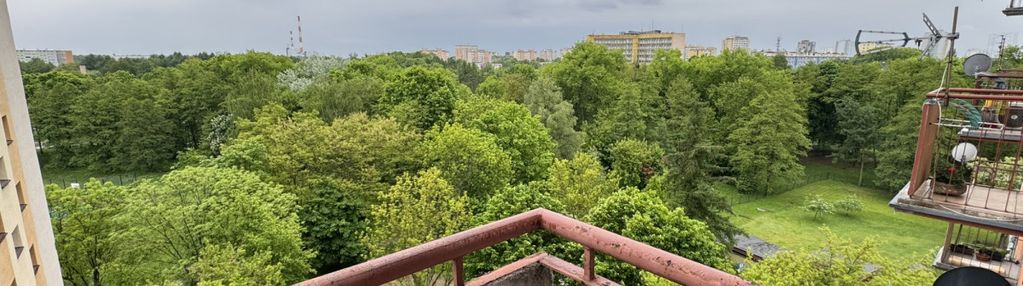 3 pokoje w centrum miasta- bez prowizji-