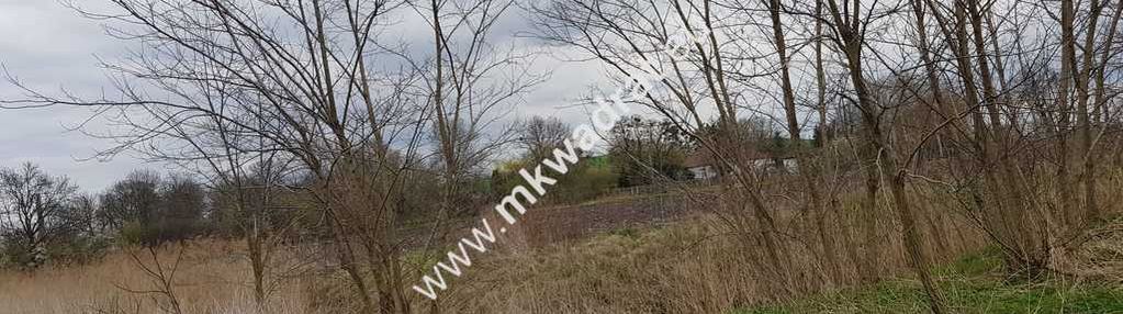 Działka budowlana 1002 m² z mpzp, media w drodze